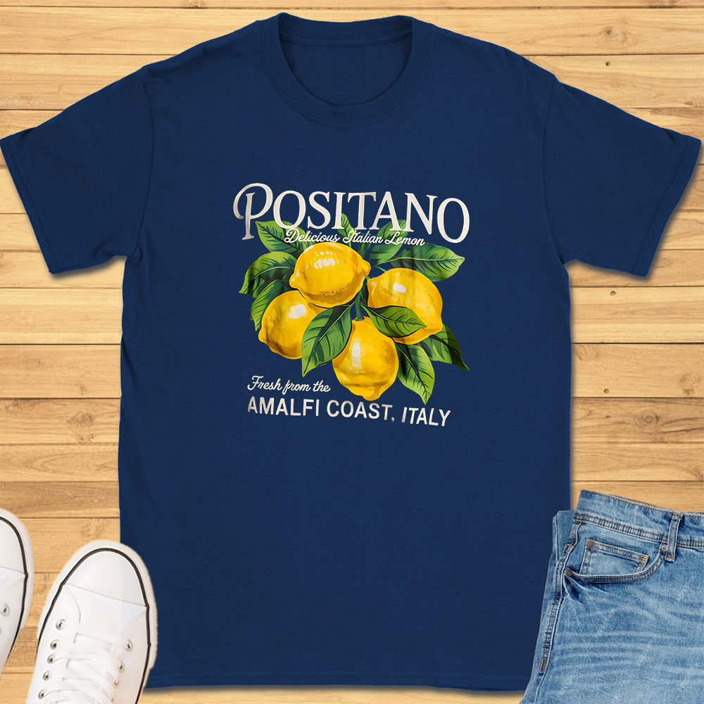 Positano Amalfi Coast Italy T-Shirt