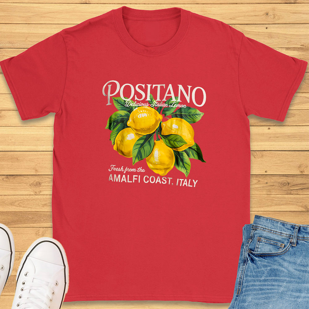 Positano Amalfi Coast Italy T-Shirt