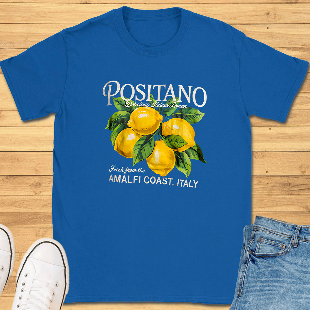 Positano Amalfi Coast Italy T-Shirt