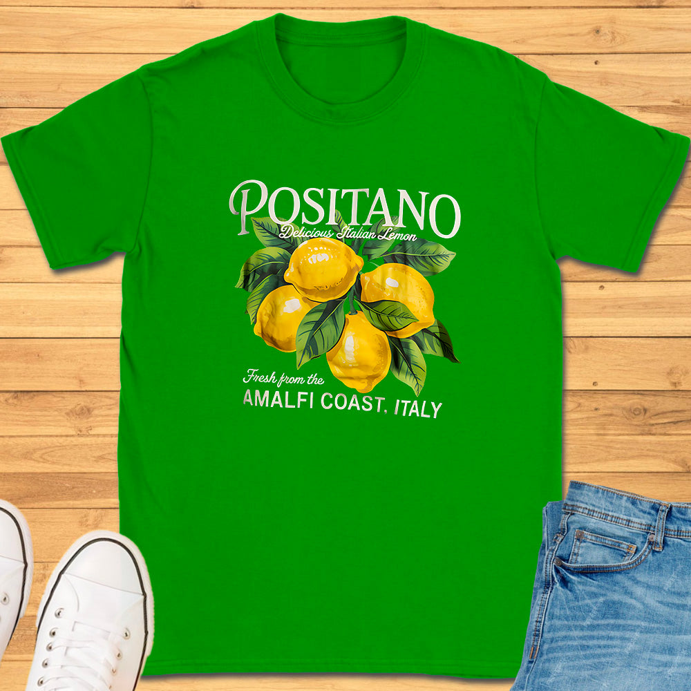 Positano Amalfi Coast Italy T-Shirt